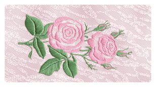 574 DSC700 506 PK Lace Rose